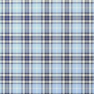 Blue Plaid